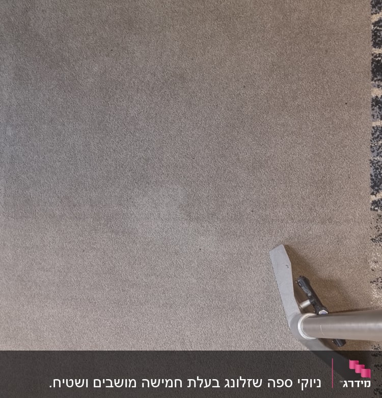 שואב אבק מנקה שטיח אפור עם דוגמאות כהות